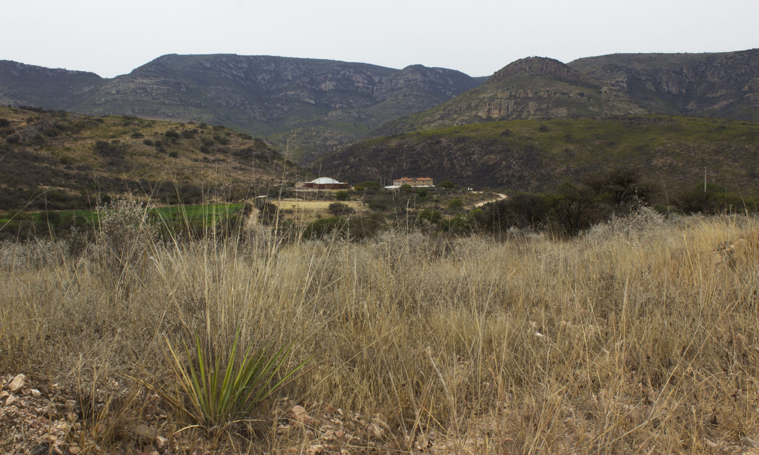 Santa María del Mexicano